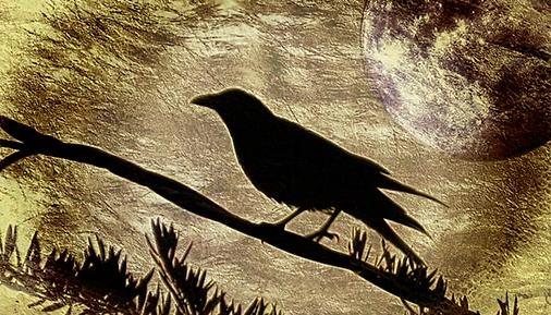 Raven with golden moon eerie background